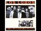 Clip Los Lobos - Set Me Free (rosa Lee)