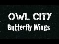 Video Butterfly Wings
