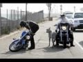 Video Que Ma Harley Repose En Paix
