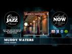 Clip Muddy Waters  - Gypsy Woman