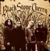 Clip Black Stone Cherry - Maybe Someday (Album Version)