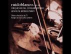 Clip Ruidoblanco - Ultima version de ti (con la Orquesta C. Jesus de Monasterio)