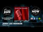 Clip John Lee Hooker - Howlin' Wolf