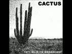 Clip Cactus - No Need To Worry  (LP Version)