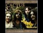 Clip Cactus - Evil (single Version)