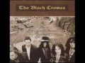 Clip The Black Crowes - Hotel Illness