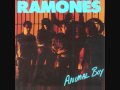 Clip The Ramones - Somebody Put Something In My Drink   (Remastered Version )