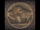 Clip Nickel Eye - Brandy Of The Damned (Album Version)