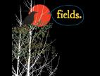 Clip Fields - If You Fail We All Fail  (Album Version)