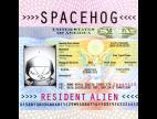 Clip Spacehog - In The Meantime (lp Version)