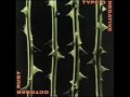 Clip Type O Negative - Be My Druidess (Album Version)