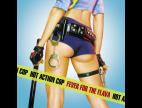 Clip Hot Action Cop - Fever For The Flava (radio Edit)