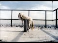 Clip Knorkator - Lied vom Pferd
