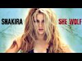 Clip Shakira - Good Stuff