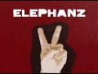 Clip Elephanz - Do You Like My Song