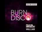 Clip Felix Da Housecat - Burn The Disco