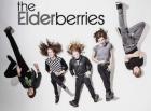 Clip The Elderberries - It Doesn't Really Matter (Radio Edit)