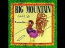 Clip Big Mountain - Revolution (album Version)
