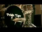 Clip Pride Tiger - The Lucky Ones