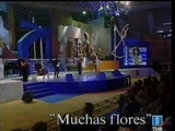 Clip Rosario - Muchas Flores