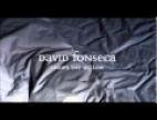 Clip David Fonseca - Under The Willow