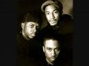 Clip A Tribe Called Quest - Show Business