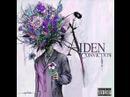 Clip Aiden - She Will Love You