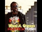 Clip Andrew Tosh - What a Gwaan