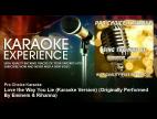 Video Love the way you lie (karaoke version)