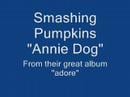Video Annie-dog