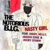 Video Nasty girl (featuring diddy, nelly, jagged edge and avery storm) (amended album version)