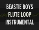 Video Flute loop