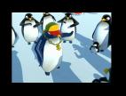 Video Le ragga des pingouins