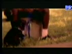 Video On bended knee