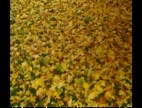 Video Les feuilles mortes