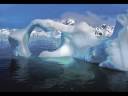 Video Antarctica echoes