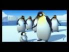 Video Le papa pingouin