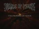 Video The promise of fever