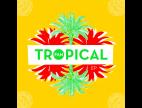 Video Tropical