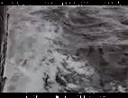 Video El agua del avellano
