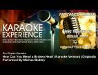 Video How can you mend a broken heart (karaoke version)